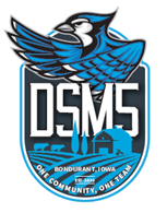 DSM5 company logo